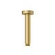 https://raleo.de:443/files/img/11eef2973d0c8c00b133fd2fe4e9581b/size_s/KLUDI-A-QA-Deckenauslass-150-mm-brushed-gold-66515N0-00 gallery number 1